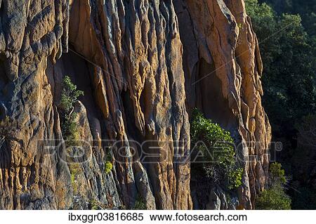 "Bizarre rock erosions in the evening light, Calanche, Les Calanches de Piana, Corse-du-Sud, Corsica, France, Europe" View Large Photo Image Stock Photography - "Bizarre rock erosions in the evening light, Calanche, Les Calanches de Piana, Corse-du-Sud, Corsica, France, Europe". Fotosearch