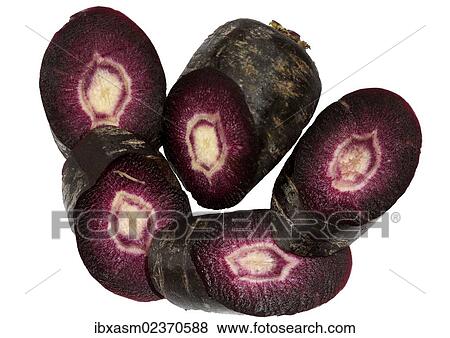 Stock Photo - Black and red carrot. Fotosearch