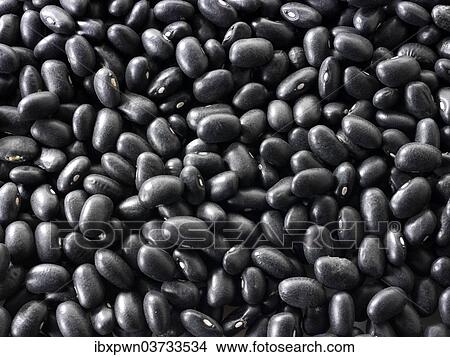 Black beans View Large Photo Image Picture - Black beans. Fotosearch