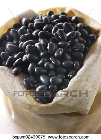 Black beans View Large Photo Image Stock Photography - Black beans. Fotosearch