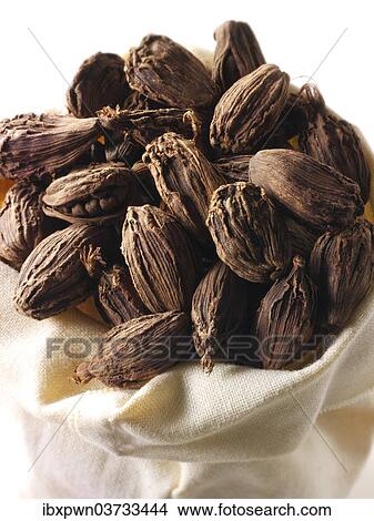 Black cardamom View Large Photo Image Picture - Black cardamom. Fotosearch