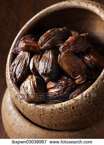 Black cardamom View Large Photo Image Stock Photo - Black cardamom. Fotosearch