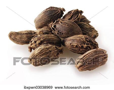 Black cardamom View Large Photo Image Stock Photo - Black cardamom. Fotosearch