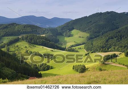 "Black Forest landscape near Gutach, Black Forest, Baden-Wuerttemberg, Germany, Europe" View Large Photo Image Stock Photograph - "Black Forest landscape near Gutach, Black Forest, Baden-Wuerttemberg, Germany, Europe". Fotosearch
