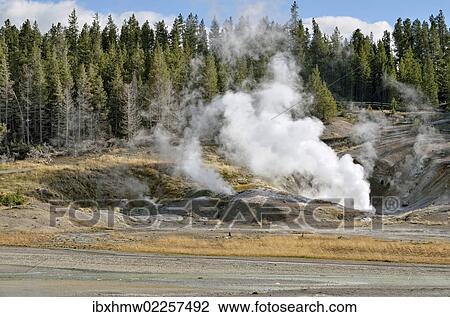 "Black Growler Steam Vent, Porcelain Basin, Norris Geyser Basin, Yellowstone National Park, Wyoming, USA" View Large Photo Image Stock Image - "Black Growler Steam Vent, Porcelain Basin, Norris Geyser Basin, Yellowstone National Park, Wyoming, USA". Fotosearch
