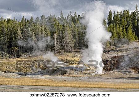 "Black Growler Steam Vent, Porcelain Basin, Norris Geyser Basin, Yellowstone National Park, Wyoming, USA" View Large Photo Image Stock Photo - "Black Growler Steam Vent, Porcelain Basin, Norris Geyser Basin, Yellowstone National Park, Wyoming, USA". Fotosearch