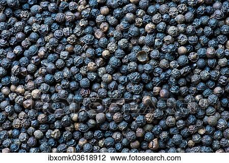 Stock Image - "Black pepper, Kerala, India, Asia". Fotosearch