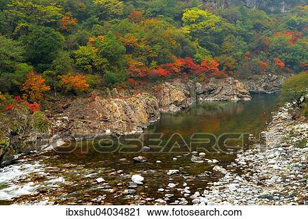 "Black River in autumn landscape, Heihe National Park, Qinling Mountain, Shaanxi Province, China, Asia" View Large Photo Image Stock Image - "Black River in autumn landscape, Heihe National Park, Qinling Mountain, Shaanxi Province, China, Asia". Fotosearch
