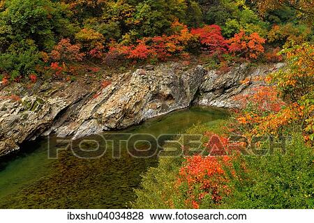 "Black River in autumn landscape, Heihe National Park, Qinling Mountain, Shaanxi Province, China, Asia" View Large Photo Image Stock Photo - "Black River in autumn landscape, Heihe National Park, Qinling Mountain, Shaanxi Province, China, Asia". Fotosearch