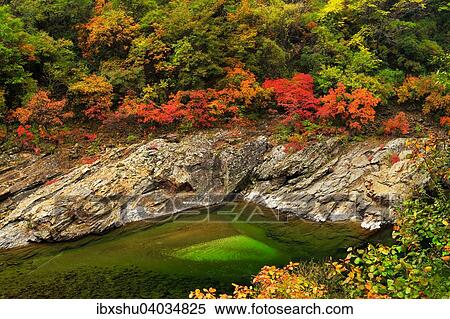 "Black River in autumn landscape, Heihe National Park, Qinling Mountain, Shaanxi Province, China, Asia" View Large Photo Image Stock Photography - "Black River in autumn landscape, Heihe National Park, Qinling Mountain, Shaanxi Province, China, Asia". Fotosearch