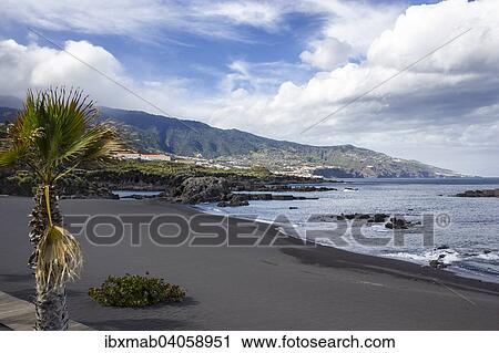 "Black sand beach, Playa de Los Cancajos, Los Cancajos, La Palma, Canary Islands, Spain, Europe" View Large Photo Image Stock Image - "Black sand beach, Playa de Los Cancajos, Los Cancajos, La Palma, Canary Islands, Spain, Europe". Fotosearch