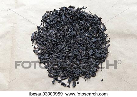 "Black Tea, Broken Orange Pekoe, BOP, Ceylon, Gampola, Kandy Distrikt, Zentralprovinz, Sri Lanka, Asia" View Large Photo Image Stock Photo - "Black Tea, Broken Orange Pekoe, BOP, Ceylon, Gampola, Kandy Distrikt, Zentralprovinz, Sri Lanka, Asia". Fotosearch