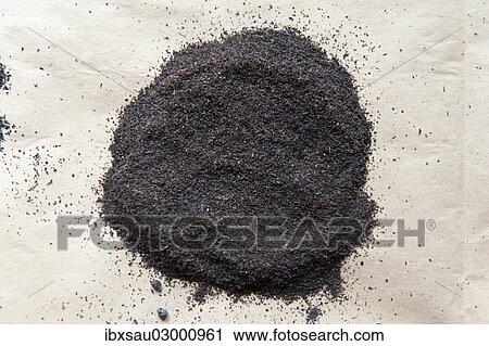 "Black Tea, Dust, Ceylon, Gampola, Kandy Distrikt, Zentralprovinz, Sri Lanka, Asia" View Large Photo Image Stock Image - "Black Tea, Dust, Ceylon, Gampola, Kandy Distrikt, Zentralprovinz, Sri Lanka, Asia". Fotosearch