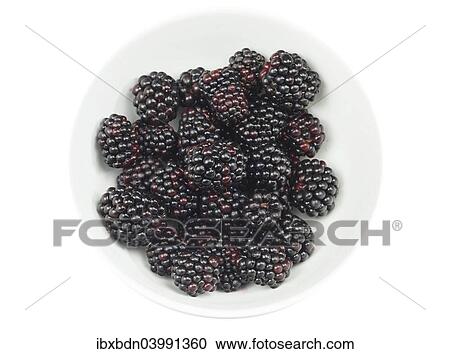 Blackberries in a bowl View Large Photo Image Stock Image - Blackberries in a bowl. Fotosearch