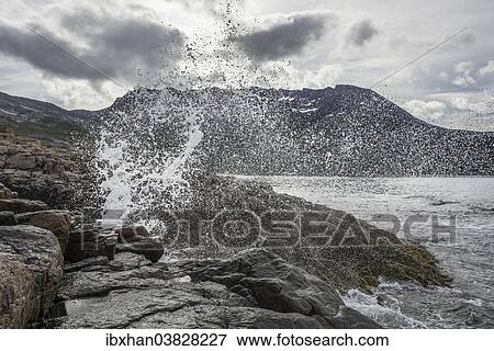 Stock Photo - "Blowhole on the coast, island of Senja, Troms, Norway, Europe". Fotosearch