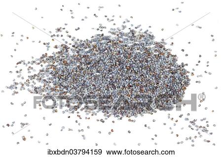 Stock Photo - Blue poppy seeds. Fotosearch
