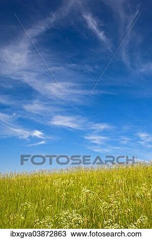 Stock Image - "Blue sky with cirrus clouds above a summer meadow, Baden-Wurttemberg, Germany, Europe". Fotosearch