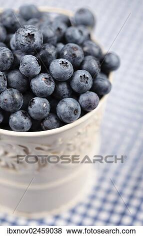 Blueberries in a pot View Large Photo Image Stock Photo - Blueberries in a pot. Fotosearch