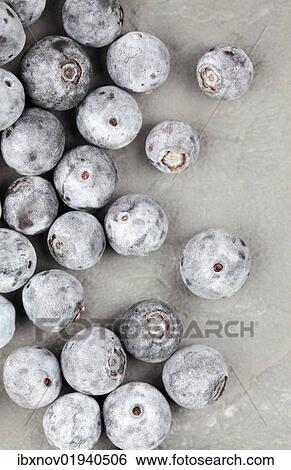 Blueberries on slate tile View Large Photo Image Stock Photograph - Blueberries on slate tile. Fotosearch