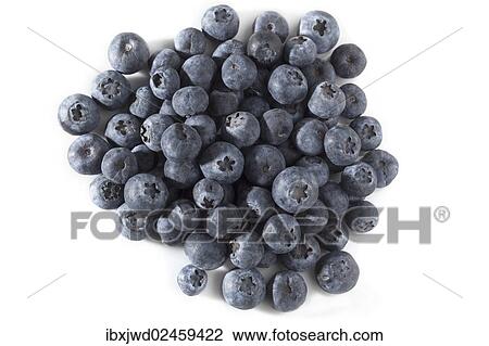 Blueberries View Large Photo Image Stock Image - Blueberries. Fotosearch