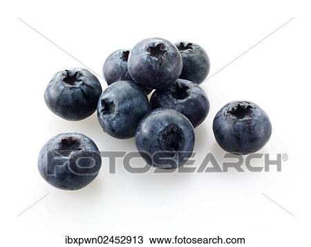 Blueberries View Large Photo Image Stock Image - Blueberries. Fotosearch
