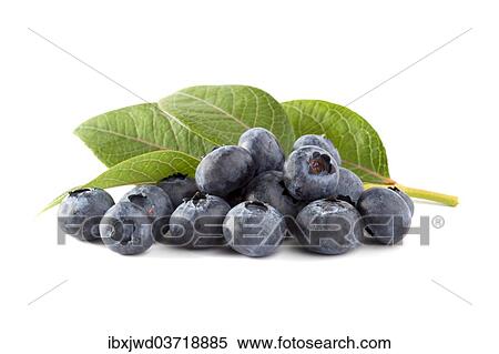 Stock Photography - Blueberries with leaves. Fotosearch