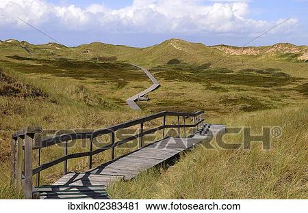 Stock Image - "Boardwalk across the dunes, Amrum, North Sea, Schleswig-Holstein, Germany, Europe". Fotosearch