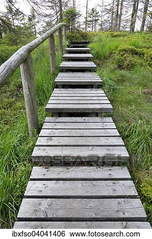 Stock Photograph - "Boardwalk, Bodebruch Moor, Harz National Park, Harz, Lower Saxony, Germany, Europe". Fotosearch