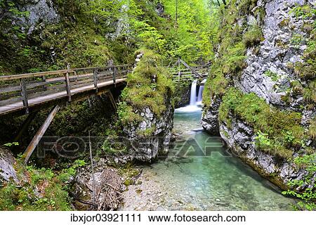 "Boardwalk in Mendlingtal valley, Mendlingbach stream, Gostling an der Ybbs, Lower Austria, Austria, Europe" View Large Photo Image Stock Image - "Boardwalk in Mendlingtal valley, Mendlingbach stream, Gostling an der Ybbs, Lower Austria, Austria, Europe". Fotosearch