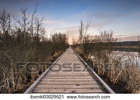 Stock Image - "Boardwalk in Schwenninger Moos Nature Reserve, Schwarzwald, Villingen-Schwenningen, Baden-Wurttemberg, Germany, Europe". Fotosearch