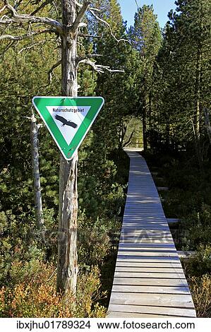 "Boardwalk into the Blindensee nature reserve at Schoenwald, Black Forest, Baden-Wuerttemberg, Germany, Europe" View Large Photo Image Picture - "Boardwalk into the Blindensee nature reserve at Schoenwald, Black Forest, Baden-Wuerttemberg, Germany, Europe". Fotosearch