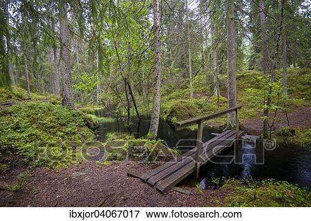 Stock Photo - "Boardwalk, Tiveden National Park, Vastra Gotaland County, Gotaland, Sweden, Europe". Fotosearch