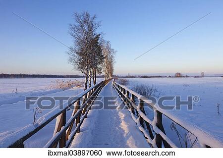 "Boardwalk, winter landscape, Federsee Lake Nature Reserve, near Bad Buchau, Upper Swabia, Baden-Wurttemberg, Germany, Europe" View Large Photo Image Stock Image - "Boardwalk, winter landscape, Federsee Lake Nature Reserve, near Bad Buchau, Upper Swabia, Baden-Wurttemberg, Germany, Europe". Fotosearch