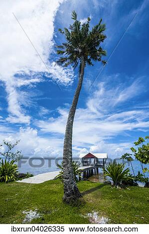 "Boat jetty, Babeldoab island, Palau, Oceania" View Large Photo Image Stock Photography - "Boat jetty, Babeldoab island, Palau, Oceania". Fotosearch