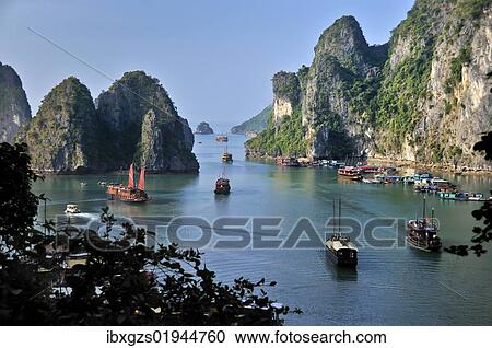 Stock Image - "Boats and junks in Halong Bay, karst mountains in the sea, Vietnam, Asia". Fotosearch