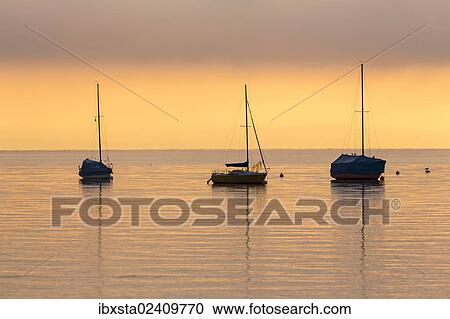 Stock Image - "Boats on Lake Constance near Landschlacht in the morning, Switzerland, Europe, PublicGround, Europe". Fotosearch