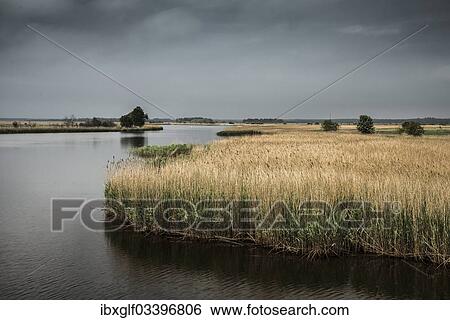 Stock Photograph - "Bodden landscape, near Prerow, Fischland-Darss-Zingst, Mecklenburg-Western Pomerania, Germany, Europe". Fotosearch