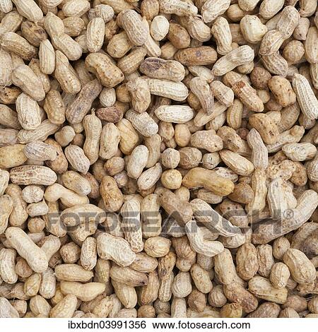 "Boiled peanuts on sale at a market, Thailand, Asia" View Large Photo Image Stock Photograph - "Boiled peanuts on sale at a market, Thailand, Asia". Fotosearch