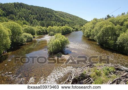 Stock Image - "Bolshaya river or Big river, Buryatia, Siberia, Russia, Europe". Fotosearch