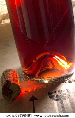 "Bottom of a bottle of wine, Rose" View Large Photo Image Stock Image - "Bottom of a bottle of wine, Rose". Fotosearch