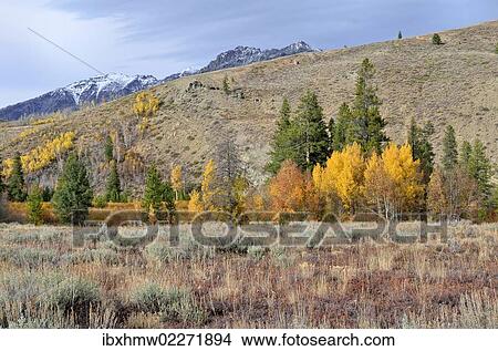 "Boulder Mountain, Highway 75, Ketchum, Idaho, USA" View Large Photo Image Picture - "Boulder Mountain, Highway 75, Ketchum, Idaho, USA". Fotosearch