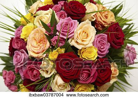 "Bouquet of flowers, roses" View Large Photo Image Picture - "Bouquet of flowers, roses". Fotosearch