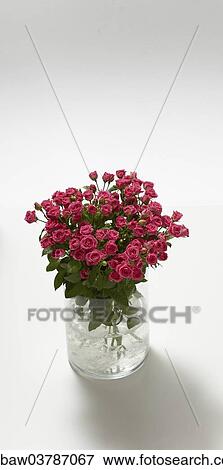 "Bouquet of flowers, roses" View Large Photo Image Stock Photo - "Bouquet of flowers, roses". Fotosearch