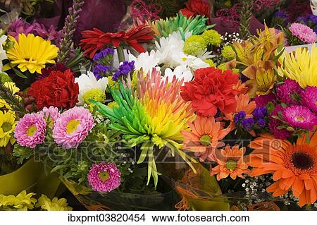 Picture - "Bouquets of gerbera, chrysanthemums and other assorted freshly cut flowers for sale at an outdoor market, Byward Market, Ottawa, Ontario, Canada, North America". Fotosearch