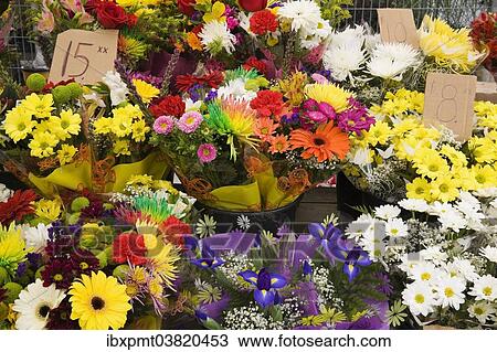 "Bouquets of gerbera, chrysanthemums and other assorted freshly cut flowers for sale at an outdoor market, Byward Market, Ottawa, Ontario, Canada, North America" View Large Photo Image Stock Image - "Bouquets of gerbera, chrysanthemums and other assorted freshly cut flowers for sale at an outdoor market, Byward Market, Ottawa, Ontario, Canada, North America". Fotosearch