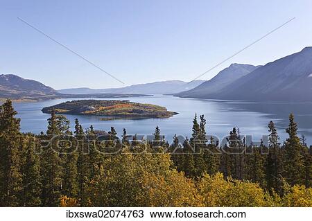 Stock Image - "Bove Island in autumn, Indian Summer, leaves in fall colours, Windy Arm of Tagish Lake, South Klondike Highway, Yukon Territory, Canada, North America". Fotosearch