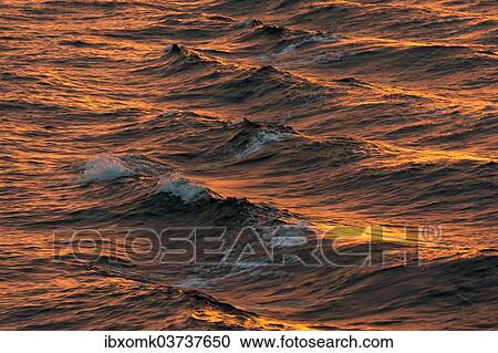 "Bow waves in the evening light, Arctic Ocean, Spitsbergen Island, Svalbard Archipelago, Svalbard and Jan Mayen, Norway, Europe" View Large Photo Image Stock Image - "Bow waves in the evening light, Arctic Ocean, Spitsbergen Island, Svalbard Archipelago, Svalbard and Jan Mayen, Norway, Europe". Fotosearch