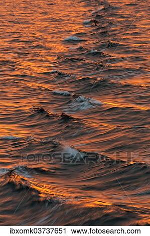 "Bow waves in the evening light, Arctic Ocean, Spitsbergen Island, Svalbard Archipelago, Svalbard and Jan Mayen, Norway, Europe" View Large Photo Image Stock Image - "Bow waves in the evening light, Arctic Ocean, Spitsbergen Island, Svalbard Archipelago, Svalbard and Jan Mayen, Norway, Europe". Fotosearch