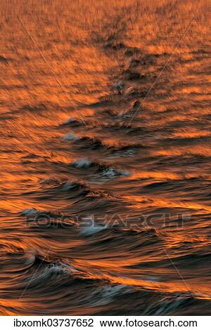 "Bow waves in the evening light, Arctic Ocean, Spitsbergen Island, Svalbard Archipelago, Svalbard and Jan Mayen, Norway, Europe" View Large Photo Image Stock Image - "Bow waves in the evening light, Arctic Ocean, Spitsbergen Island, Svalbard Archipelago, Svalbard and Jan Mayen, Norway, Europe". Fotosearch