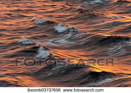 "Bow waves in the evening light, Arctic Ocean, Spitsbergen Island, Svalbard Archipelago, Svalbard and Jan Mayen, Norway, Europe" View Large Photo Image Stock Photograph - "Bow waves in the evening light, Arctic Ocean, Spitsbergen Island, Svalbard Archipelago, Svalbard and Jan Mayen, Norway, Europe". Fotosearch